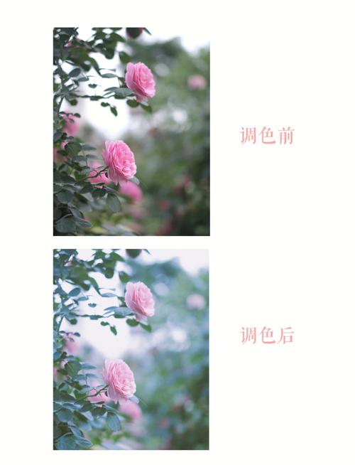 照片怎么调色_基础到高级，打造个性艺术感