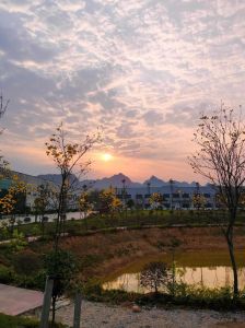 拍阳光的参数调整_拍璀璨星芒夕阳