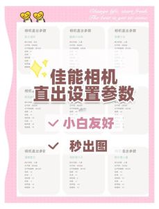 阴天人像相机设置参数_柔光巧用出好片