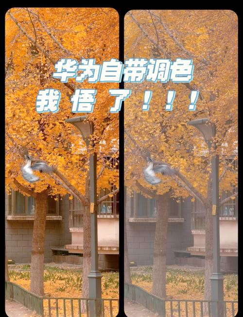 照片调色怎么调出高级感_光影质感色调平衡技巧