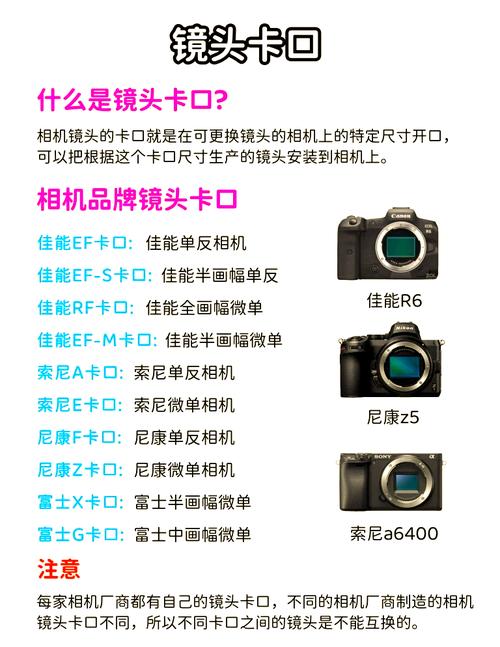 相机参数口内照_单反微距精准捕捉
