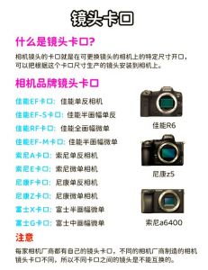 相机参数口内照_单反微距精准捕捉