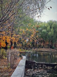 真实生活风景照片_捕捉生活之美，发现平凡诗意