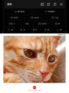 小米相机专业模式怎么改不了参数了_手动调参拍出好照片