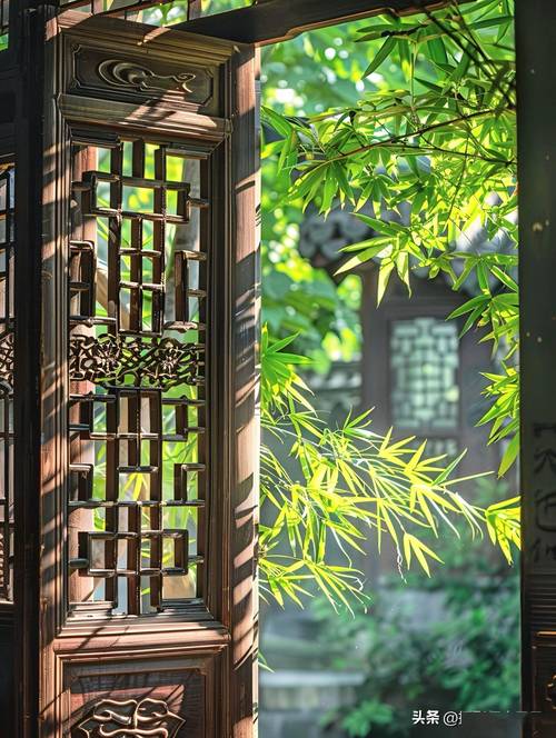 逆光拍摄技巧与构图_捕捉光影之美