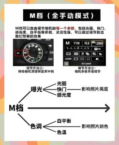 数码相机阴天m档参数_调高ISO，选对光圈快门，手动模式下创意无限