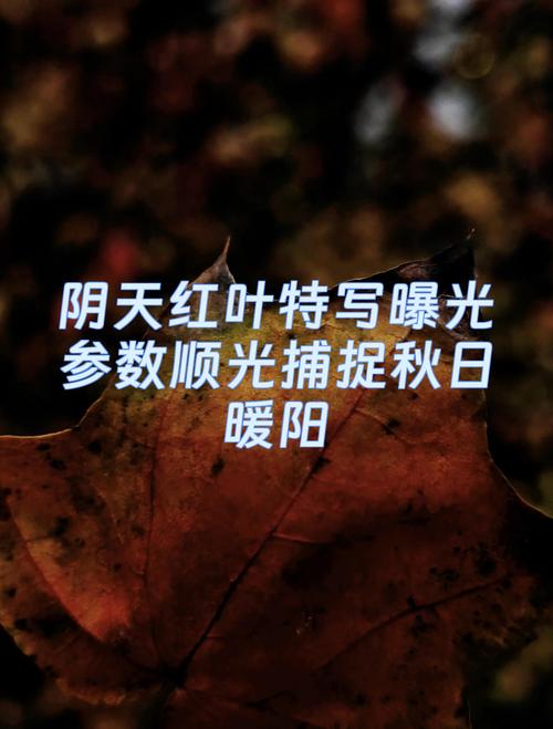 阴天拍照的调参数方法_阴天摄影调参数，出片有氛围