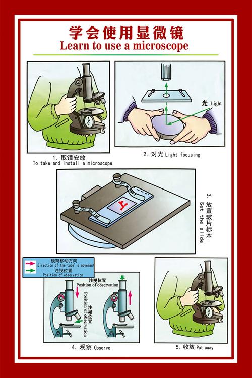 手动给显微镜照片加标尺的方法_偏光荧光镜图像标尺添加方法