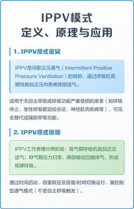 ippv模式及参数意义_强制送气，维持呼吸