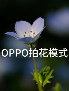 怎么运用人像模式虚化背景_人像模式拍出背景虚化美照