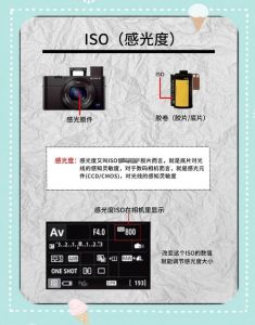 单反相机iso一般多少_光线暗时调高，光线好时调低