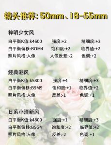 佳能人像详细设置参数_佳能R6拍复古人像，M档浅景深暖调
