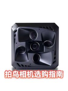 用单反拍鸟调什么参数_AI伺服AF+拇指AF捕捉飞行鸟