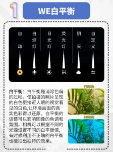 wb摄影参数代表什么_调色关键，还原真实色彩