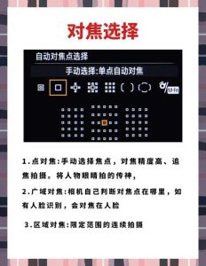 单反怎么对焦清晰_稳准快适拍出清晰单反照