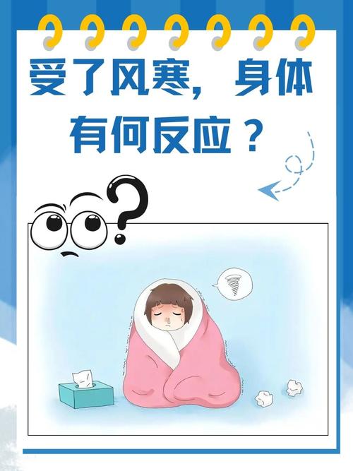 找一张感觉冷的照片_美与坚韧的定格