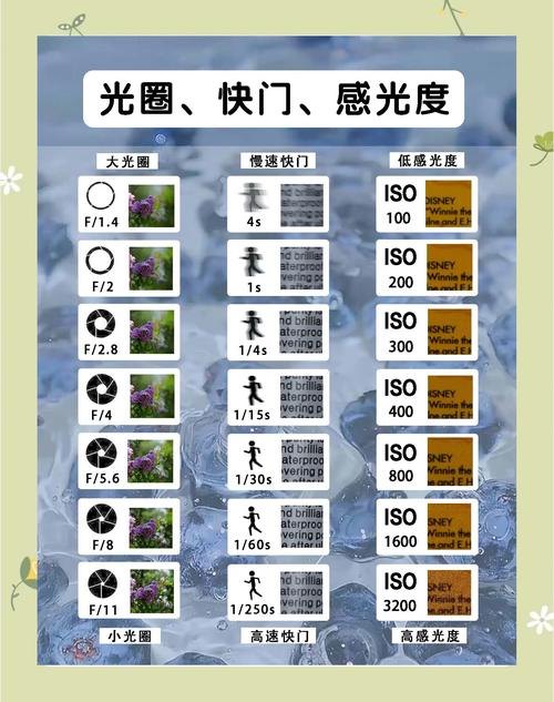 摄影构图三要素_摄影曝光对焦构图技巧