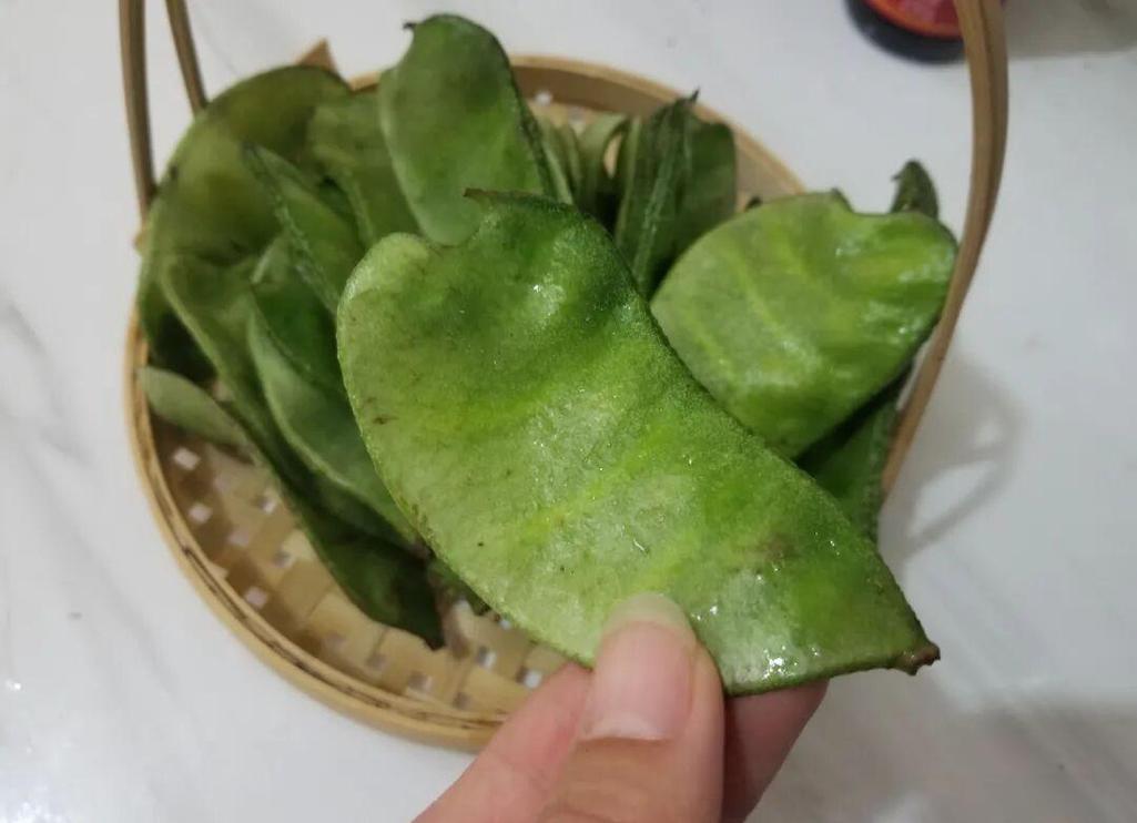 东北的老母猪耳朵豆角照片_老母猪耳朵与紫油豆的美味象征