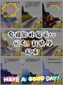 怎么夸赞摄影作品好_捕捉瞬间，光影叙事，展现生活诗意