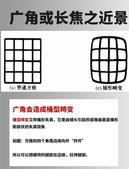 如何理解摄影构图_巧用光影，突出主体，突破常规，捕捉独特之美