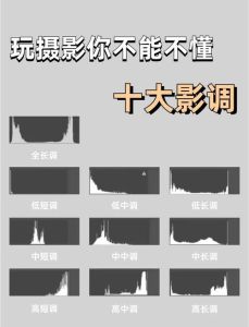 摄影后期影调与调色实战宝典_摄影后期光影色彩宝典，调色塑魂，实战技巧