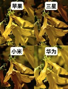 小米通用拍照参数_简单设置拍出好照片