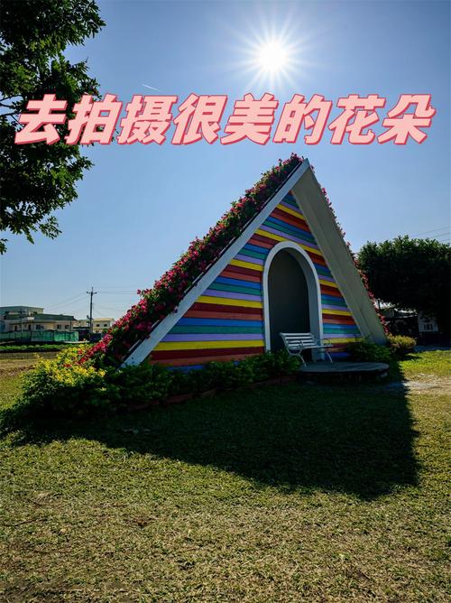 拍花朵的景色需要设置什么参数_光圈虚化+构图突出，花朵瞬间生动