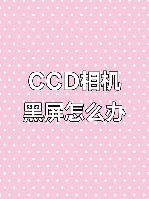 相机连接电脑拍照自动黑屏_相机屏幕黑屏？清洁电池或重设试试！