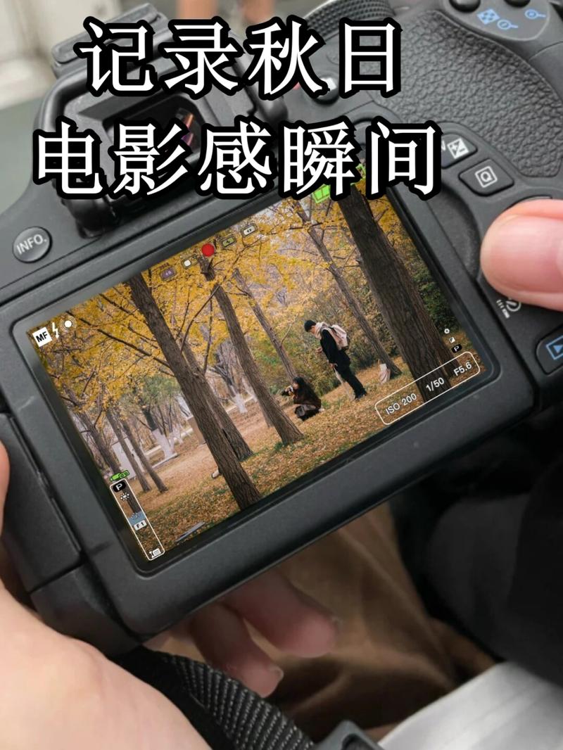 电影院相机拍照参数_电影院拍人像用M档大光圈长焦 电影院相机拍照参数_电影院拍人像用M档大光圈长焦