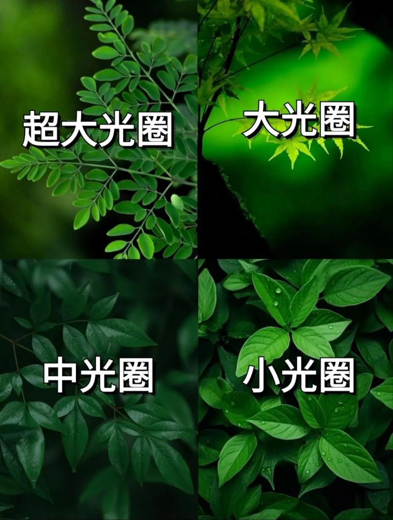 拍10人合照光圈参数调多少_集体照人人清晰,小光圈快门速度是关键 拍10人合照光圈参数调多少_集体照人人清晰,小光圈快门速度是关键