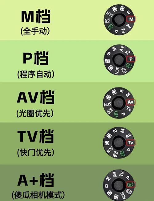 闪光灯的档位怎么搭配相机拍照_唯卓仕Z1 Pro闪光灯逆光人像补光技巧